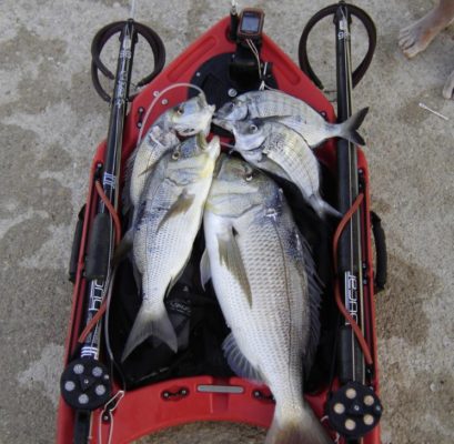 Banksboard lifestyle photo