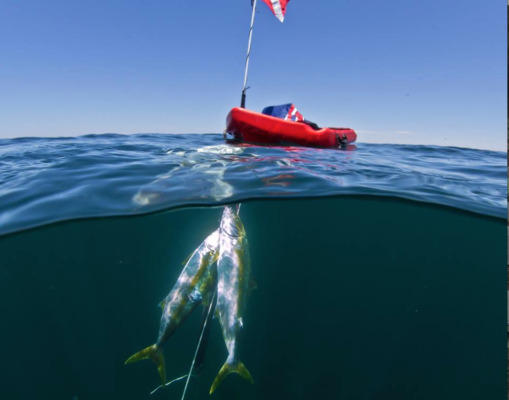 Banksboard lifestyle photo