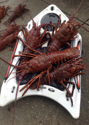 Banksboard lifestyle photo