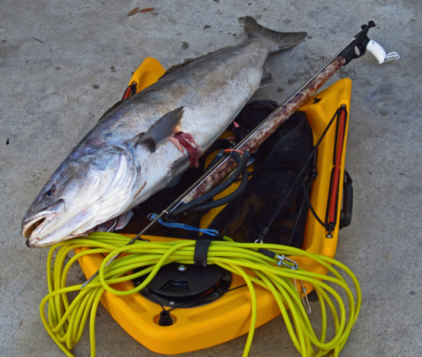 Banksboard lifestyle photo