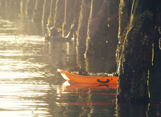 Banksboard lifestyle photo