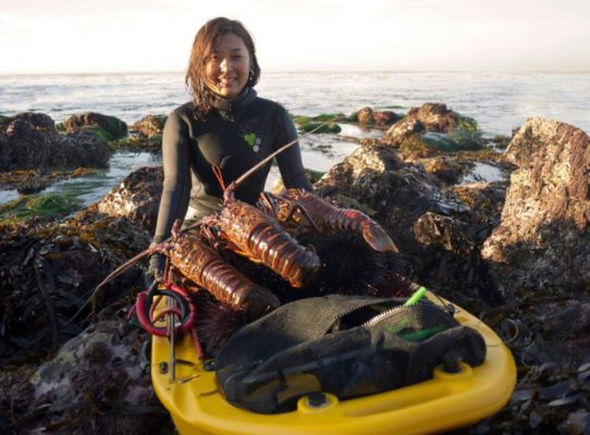 Banksboard lifestyle photo