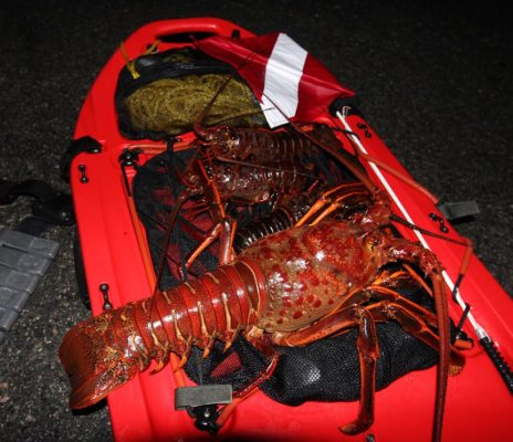 Banksboard lifestyle photo