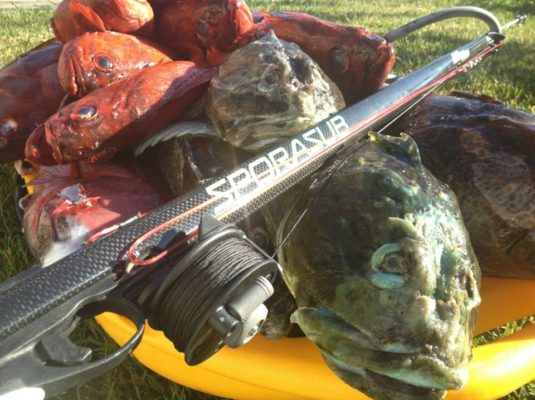 Banksboard lifestyle photo