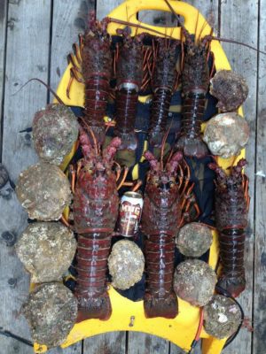 Banksboard lifestyle photo