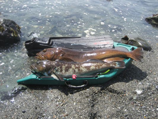 Banksboard lifestyle photo