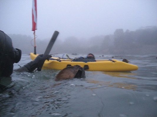 Banksboard lifestyle photo