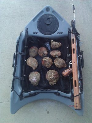 Banksboard lifestyle photo