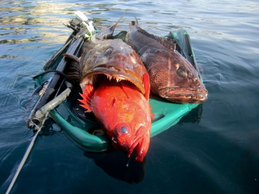 Banksboard lifestyle photo