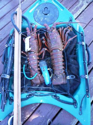 Banksboard lifestyle photo