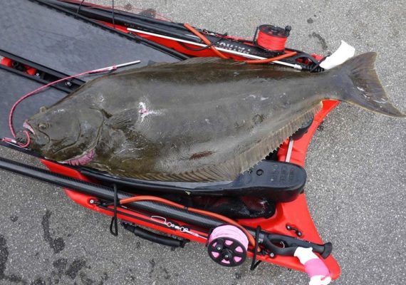 Banksboard lifestyle photo