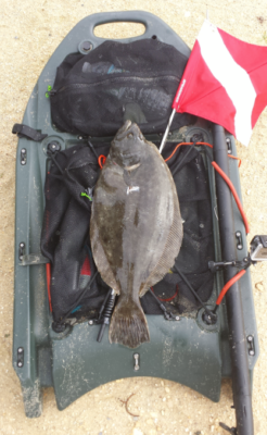 Banksboard lifestyle photo