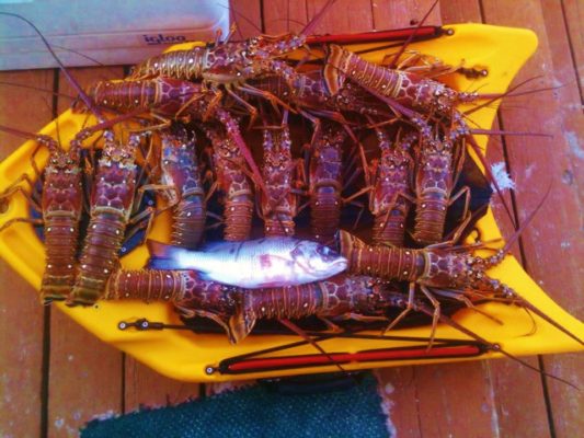 Banksboard lifestyle photo