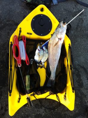 Banksboard lifestyle photo