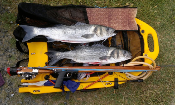 Banksboard lifestyle photo